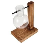 TOYANDONA Soporte de Florero de Vidrio Hidroponico con Base de Madera Estación de Propagación de Plantas de Escritorio Compacta y Elegante para Decoración Interior y Oficina