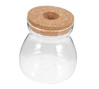 TOYANDONA Terrario De Cristal Tapa Perforada para Plantas Hidropónicas, Maceta De Vidrio Mediana para Decoración Interior, Recipientes Terrario para Micro Paisaje y Suculentas