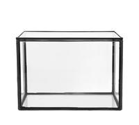 TOYANDONA Terrario de Suculentas Caja de Vidrio Vacía para Micropaisaje Interior y Exterior, Contenedor Decorativo Pequeño de Cristal Negro para DIY Jardín y Adorno de Mesa