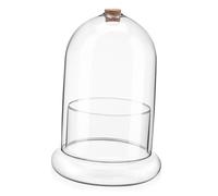 TOYANDONA Terrario De Vidrio Claro con Domo Maceta Decorativa De Ecosistema Frasco con Agujero De Aire para Plantas y Flores Decoración De Hogar y Oficina Paisaje Miniatura