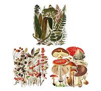 TOYMIS 120 Piezas Pegatinas Vintage Plantas y Naturaleza para Decoración de Álbum de Diario DIY Scrapbooking