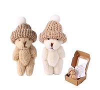 TOYMIS 2 Juegos Mini Peluche Pequeño Oso en Caja, Mi Pequeño Oso Preocupación Hecho a Mano Suave Peluche Abrazo Bolsillo con Tarjeta Apoyo Emocional Regalo Positivo para Amigos (Caqui, Blanco)