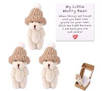 TOYMIS 3 Sets Hecho Mano Mini Peluche Pequeño Oso en Caja, Lindo Positivo Pequeño Preocupación Oso Bolsillo Abrazo Peluche con Inspiración Tarjeta Emocional Apoyo Regalo para Amigos Familia (Blanco)