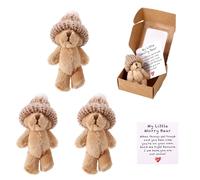 TOYMIS 3 Sets Mini Peluche Pequeño Oso en Caja, My Little Worry Bear Bolsillo Abrazo Peluche con Inspiración Tarjeta Emocional Apoyo Positivo Regalo para Amigos Familia Amantes Compañeros
