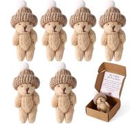 TOYMIS 6 Sets Pequeño Oso Artesanal en Caja, Mini Peluche Mi Pequeño Oso Preocupación con Tarjeta Aliento Peluche Suave Abrazo Bolsillo Apoyo Emocional Regalo Positivo para Familia Amigos Compañeros