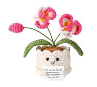 TOYMIS Orquídea Positiva, Orquídea Ganchillo Apoyo Emocional Flor de Ganchillo con Tarjeta Mensaje Positivo para Regalo Motivacional Hogar Oficina Decoración Regalo de Regreso a Clases(Blanco y Rosa)