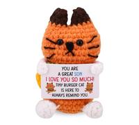 TOYMIS Positivo Gato Hamburguesa para Hijo, Crochet Hamburguesa Gato con Tarjeta Inspiracional Hecho A Mano Emocional Apoyo Tejido Muñeca para Hijo Cumpleaños Navidad Aliento Regalo