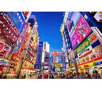 toynk Evening In Akihabara Japan Puzzle For Adults and Kids | 1000 Piece Jigsaw Puzzle