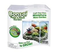 Toys By Nature Jardín de musgo y roca bonsái, kit de terrario mini ondulado con planta real, terrarios aptos para principiantes y decoración de plantas de interior vivas