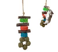 Toys For Hamsters - Wooden Hamster Chews Oral Care Teether, Guinea Pig Chew Toys, Funny Pet Supplies Hamster Toy For Ferrets Degus Guinea Pigs Chinchillas Hedgehogs