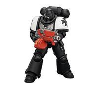 TOYVERSE JOYTOY Warhammer 40.000 Black Templars Intercessor con Pistola de Perno y Espada de Cadena, Escala 1/18, Figura de acción a Partir de 15 años