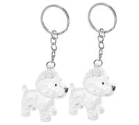 Toyvian 2 llaveros de coleccionista de pelo de perro, transparente para almacenamiento conmemorativo, llavero de pelo de mascotas, llavero de recuerdo de piel de mascota, llavero para recoger pelos