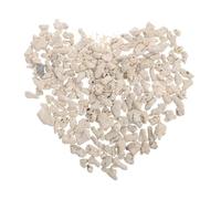 Toyvian 2 Paquetes Coral Piedra Filtrante, 500g Blanco | Material de Piedra, Acabado Suave y Textura Detallada, para Peces y Reptiles, Decoración Interior
