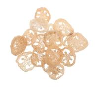 Toyvian 24 Piezas Juguetes Masticables de Lufa Natural para Pequeños Animales Rodajas Juguetes para Roer Conejos Hámsters Enanos y Chinchillas para Enriquecimiento y Limpieza Dental