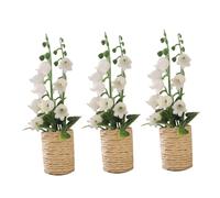 Toyvian 3 Piezas Bonsáis Artificiales de Simulación Plantas Decorativas para Casas de Muñecas y Jardines Miniatura