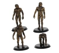 Toyvian 4piezas Modelos De Evolución Humana Figuras para Herramienta Educativa para Aprendizaje y Simulación De rol Diseño Realista y Práctico