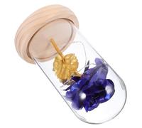 Toyvian Adorno de Flor Inmortal Luces Led, Cúpula de Cristal Flores Preservadas Azul, Decoración para Hogar U Oficina, Flor Eterna sin Pilas Incluidas