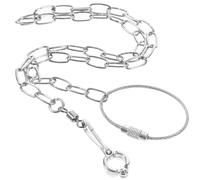 Toyvian Cadena de Acero Inoxidable para Entrenamiento de Loros y Pájaros, Resistente Oxidación Cierre Giratorio, Adecuado para Pasear a Tu Mascota en Exteriores