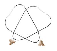 Toyvian Colgante Diente de Auténtico con Cadena de Cuero para Hombre Diseño Surfista y Recuerdo de Fósil Charm Ligero y Resistente para Uso Diario