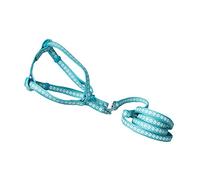 Toyvian Correa Tejida para Cachorros Collar Profesional para Perro Arnés para Mascotas