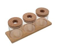 Toyvian Juego de Jarrones Hidropónicos de Vidrio 8x8 Cm con Tapa Perforada y Soporte Triple, Maceta para Plantas Suculentas y Propagación de Raíces en Agua, Contenedor Hidropónico