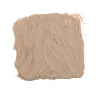 Toyvian Masilla de Madera para Reparación de Muebles 500 G Polvo Reparador de Madera en Polvo para Relleno de Grietas Arañazos y Huecos Secado Rápido Lijable para Restaurar Superficies