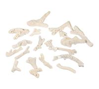 Toyvian Material Filtrante para Acuarios Piedra Natural 3-10 CM 500 G Decoración Peceras Ajusta Ph Paisaje Acuático para Filtro Pecera Color Aleatorio