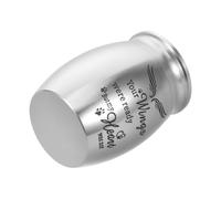 Toyvian Mini Urna para Cenizas de Mascotas Acero Inoxidable con Diseño de Alas Guardianas Portátil y para Perros y Gatos Pequeños Urna Conmemorativa para Restos Cremados