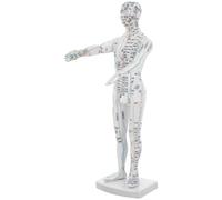 Toyvian Modelo Identificación Clara de Plástico Blanco de Acupuntura Masculino de Meridianos para Aprendizaje y Exhibición Adecuado para Aulas y Gestión de Salud