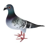 Toyvian Paloma Artificial Grande De Espuma Plumas, Color Nieve Gris, Figura Realista De Paloma para Decoración De Jardín Al Aire Libre, Adorno De Pájaro para Césped, Artículo Decorativo para Hogar