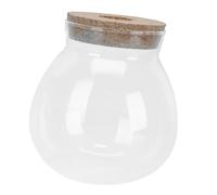 Toyvian Pecera De Cristal Pequeño Terrario Agua Peces Planta Peceras Pequeñas Acuario Pañuelo Micro Pecera Hidroponia Grava De Pescado Tanque Envase Mini Pédico Vidrio Transparente