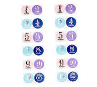 Toyvian Piezas Pegatinas del Mes de Las Flores Chicas Presente Pegatinas Juguetes de niños Calendario Pegatinas calcomanía de de niñas bebés Etiqueta engomada del Papel Foto