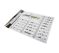 Toyvian Póster De Diagrama De Acordes Para Flauta Piccolo, Guía Práctica Para Entrenamiento Musical, Diseño Resistente y Fácil De Usar, Adecuado Para Flautistas Principiantes y Avanzados
