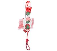 Toyvian Ropa para Pájaros Tamaño S, Pañal Transpirable para Loros Diseño de Gran Fresa, Accesorio Ligero y Duradero para Mascotas Pequeñas, Adecuado para Vuelo y Salida al Exterior