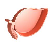 Toyvian Tazón De Comida Prueba De Fugas para Reptiles Plástico para Acuario Bebedero para Tortugas Comedero para Serpientes Reutilizable