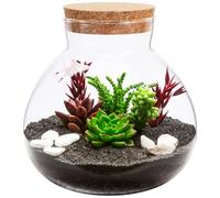 Toyvian Terrario de Vidrio Redondo Tapa de Corcho Maceta para Micropaisajismo DIY 15 CM para Decoración de Sala y Dormitorio Interior