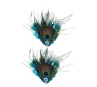 TOYZFRIENDY Pinzas Pelo de Mujer 2 Piezas Tamaño Pequeño Diseño Retro con Plumas de Pavo Real Coloridas para Fiestas y Bodas Tocados de Pelo Accesorios Carnavales