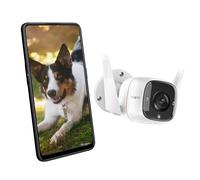 TP-Link Tapo TC65 cámara de vigilancia Bala (forma) Cámara de seguridad IP Exterior 2304 x 1296 Pixeles Techo/pared