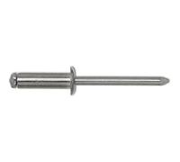 TPF Comercial 0007693240408 - Pack de 500 remaches ciegos (aluminio, 4 x 8 mm)