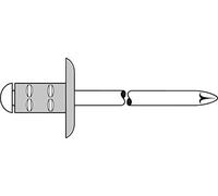TPF Comercial 0007693294825 - Pack de 100 remaches multicampos (aluminio, acero, 4.8 x 25 mm)