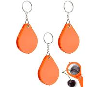 TPZORJX 3pcs Llavero，Llavero con Lupa Plegable，lupa de bolsillo，lupa de aumentos ，con Manojo de Llaves