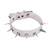 TQHGM Collar Female Collarbone Chain Leather Personalized Valentine's Day Casual Holiday Hip Hop Birthday Party