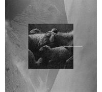 Tr - Manifesto Rumoratorio [Vinilo]