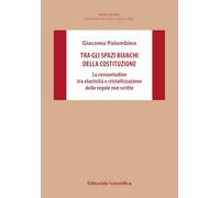Tra gli spazi bianchi della Costituzione. La consuetudine tra elasticità e cristallizzazione delle regole non scritte (Ricerche giuridiche. Nuovissima serie)