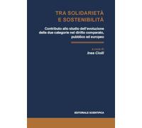 Tra solidarietà e sostenibilità. Contributo allo studio dell'evoluzione delle due categorie nel diritto comparato, pubblico ed europeo