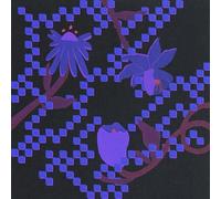 Trace Mountains - Into the Burning Blue (Blue Vinyl) [Vinilo]