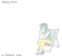 Tracey Thorn - A DISTANT SHORE - EXPANDED 12" VINYL EDITION [Vinilo]