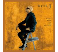 Tracks From the Attic Revisited (DVD) David J (Importación USA)