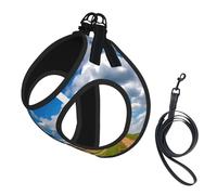 Tractor Under Blue Sky and White Clouds Print Soft Mesh Dog Harness and Strap Set Pet Puppy Cat Comfort Padded Vest No Pull Arneses