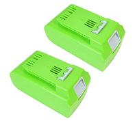 Trade-Shop 24352 - Batería de ion de litio (2 unidades, 24 V, 4000 mAh, compatible con Greenworks Tools G24 de 20 pulgadas, recortadora sin cable, 22 pulgadas)